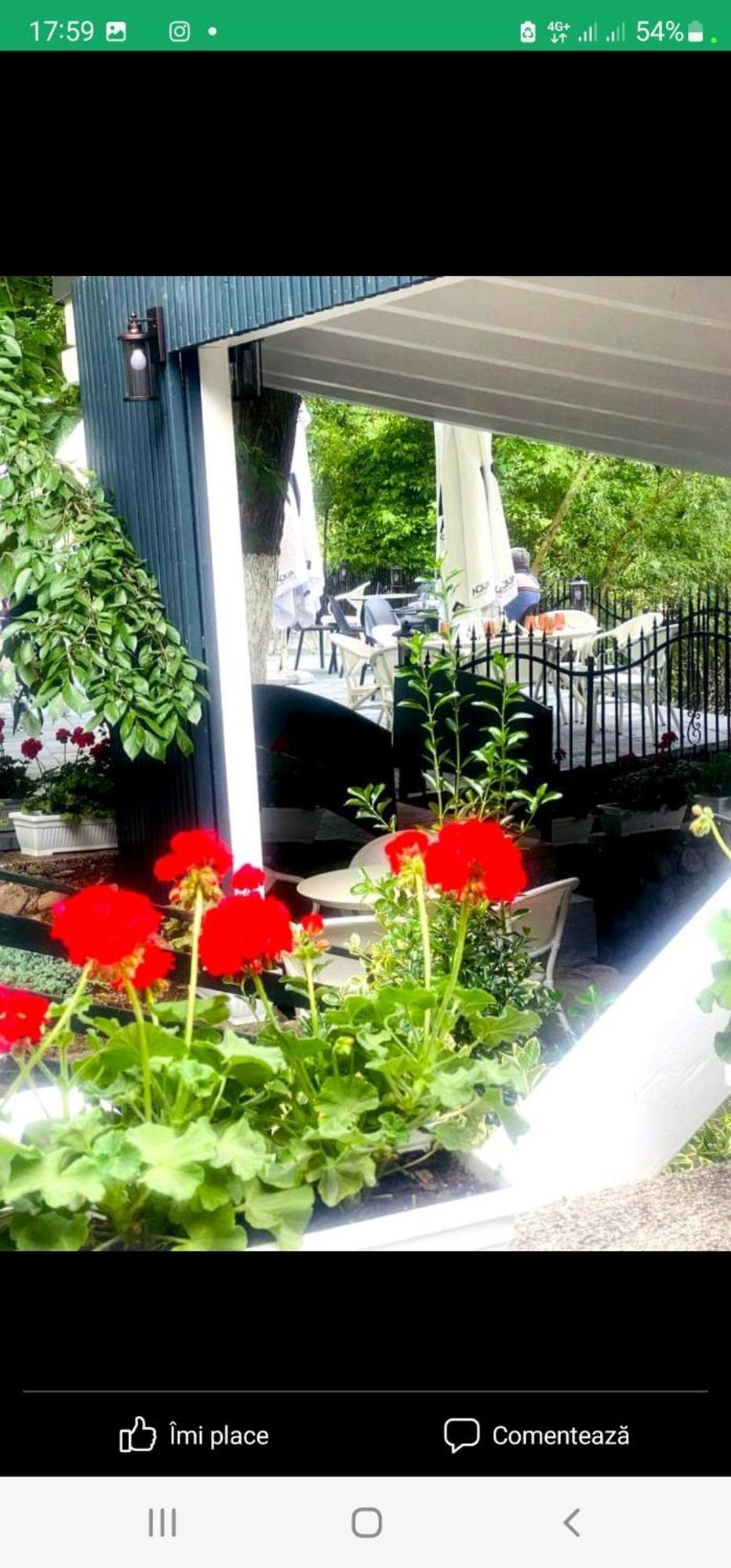 Pensiunea Casa Dimitrios-เบยเล เฮร์คูลาเน ภายนอก รูปภาพ